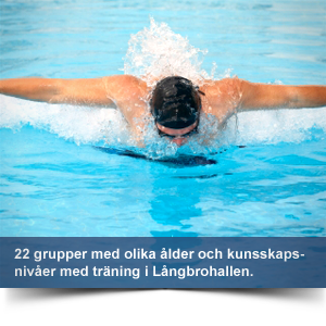 Älvsjö AIK Simning